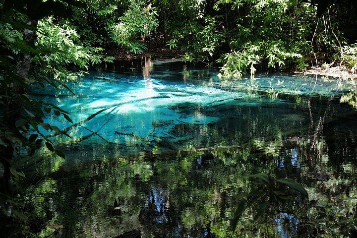 Krabi Outback Explorer naar Emerald Pool, Wareerak Hotspring en verder