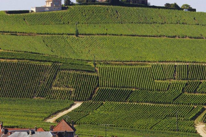 Privat dagstur fra Paris til Champagne-regionen og Reims
