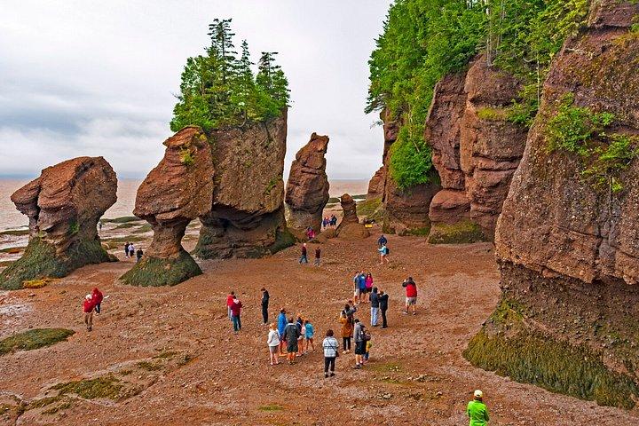 Hopewell Rocks Express Tour da Moncton
