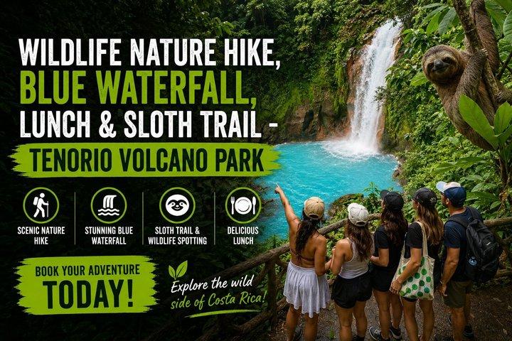 Wildlife Nature Hike, Blue Waterfall, Lunch & Sloth Trail - Tenorio Volcano Park