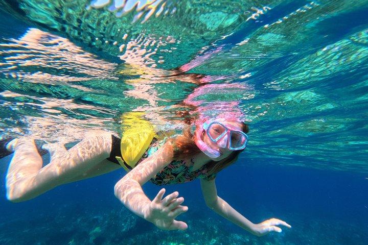 Halve dag snorkelen vanuit Providenciales met bezoek aan Half Moon Bay