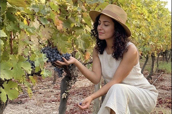 Izmir Wine Tasting and Vineyard Tour in Urla Transfer Optional