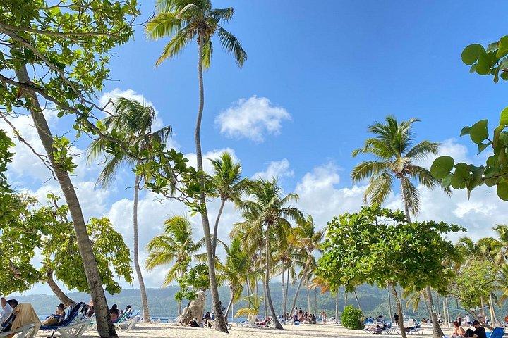 Excursión a Samana, Cascada Limón Y Isla Bacardí