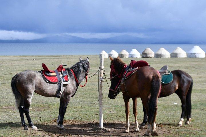 Kyrgyzstan 7-Days: Issyk Kul, Song Kul, Ala kul & Altyn Arashan