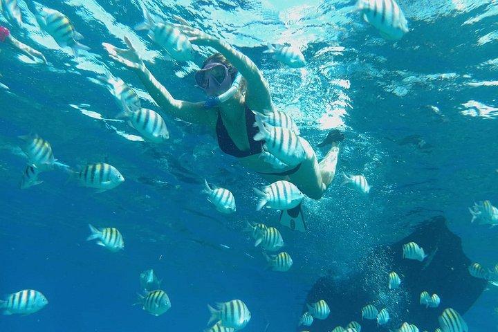 Custom Roatan Cruise Excursion and Island Tour