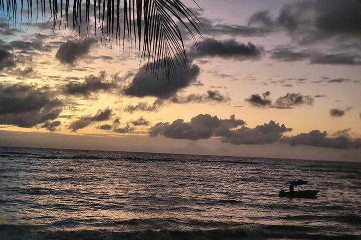Custom Roatan Cruise Excursion and Island Tour