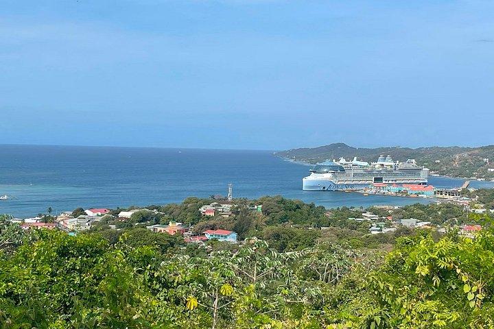 Custom Roatan Cruise Excursion and Island Tour