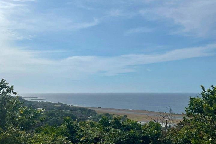 Custom Roatan Cruise Excursion and Island Tour