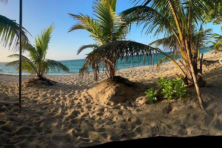 Custom Roatan Cruise Excursion and Island Tour