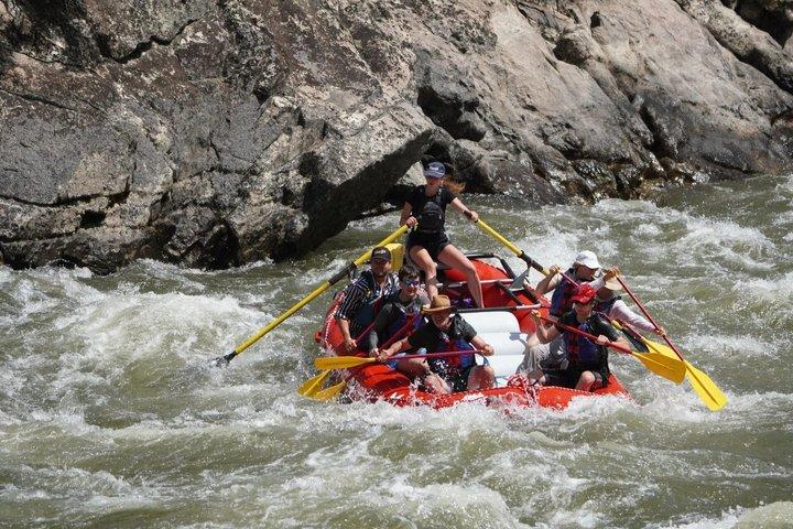 Whitewater Rafting Day Trip no Rio Salmon