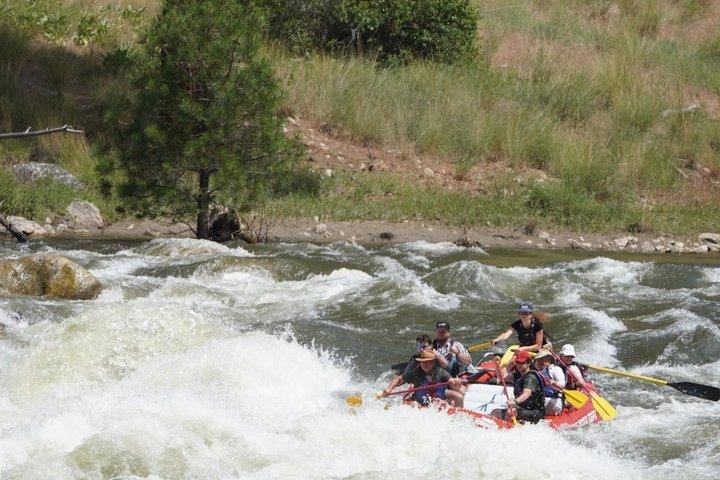 Whitewater Rafting Day Trip no Rio Salmon