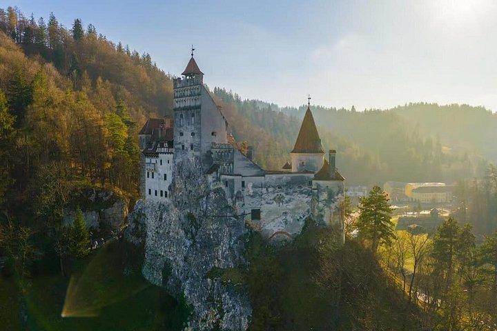 Brașov Bear Sanctuary and Draculas Castle Private Day Trip