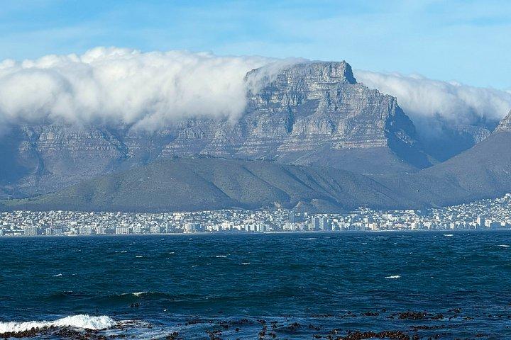 Robben Island Pre-Booked Ferry Ticket & Ex prisoner Guided