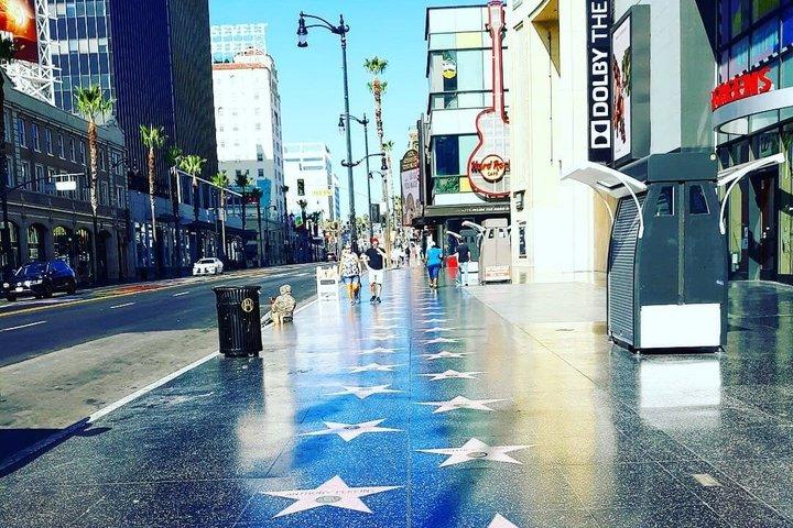 4 つの停留所を含む 5 時間のハリウッドとビバリーヒルズの共有ツアー