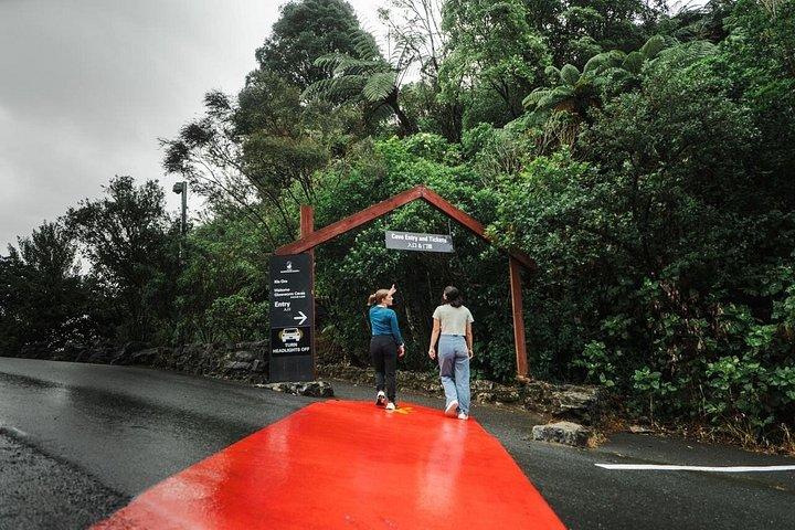 オークランド発 ホビトンとワイトモのホタル洞窟ツアー（ランチ付き）