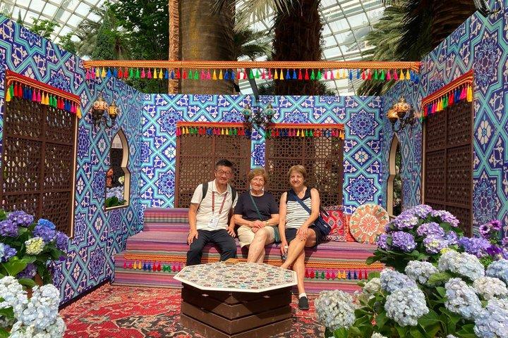 Relajante recorrido a pie en Singapore Gardens by the Bay