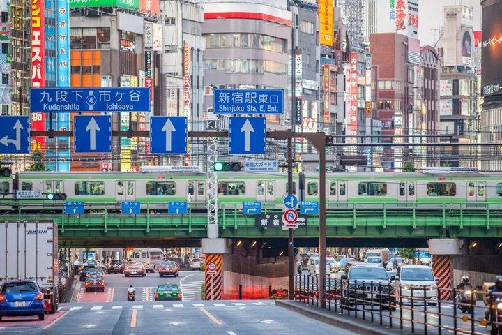 Tokyo Half Day Private Tour Must See Sights and Local Treats