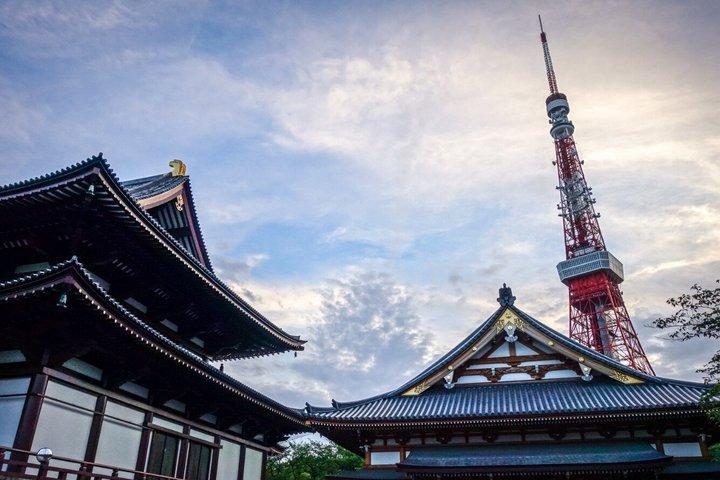 Tokyo Half Day Private Tour Must See Sights and Local Treats