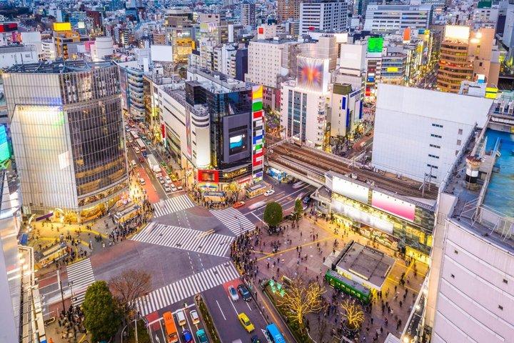 Tokyo Half Day Private Tour Must See Sights and Local Treats