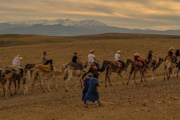 Marrakech: Agafay Desert Camel Ride, Pool & Lunch or Dinner Show