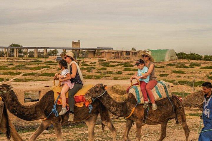 Marrakech: Agafay Desert Camel Ride, Pool & Lunch or Dinner Show
