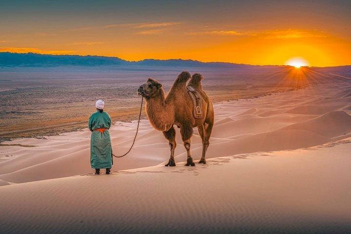 Tour privado de 2 dias pelo Deserto de Semi-Gobi e Parque Nacional de Khustai
