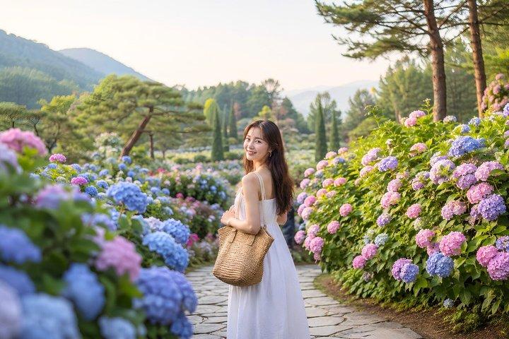 Tour di Nami Island, Petite France e Giardino del Mattino da Seoul