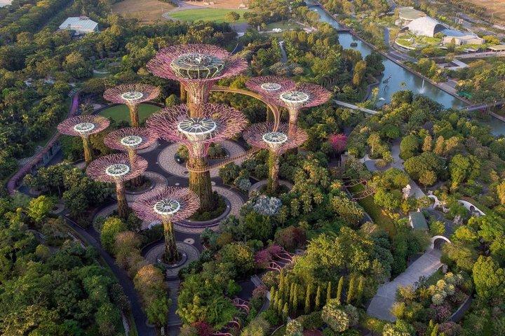 Gardens by the Bay フラワードーム 雲の森 ジュラシックワールド