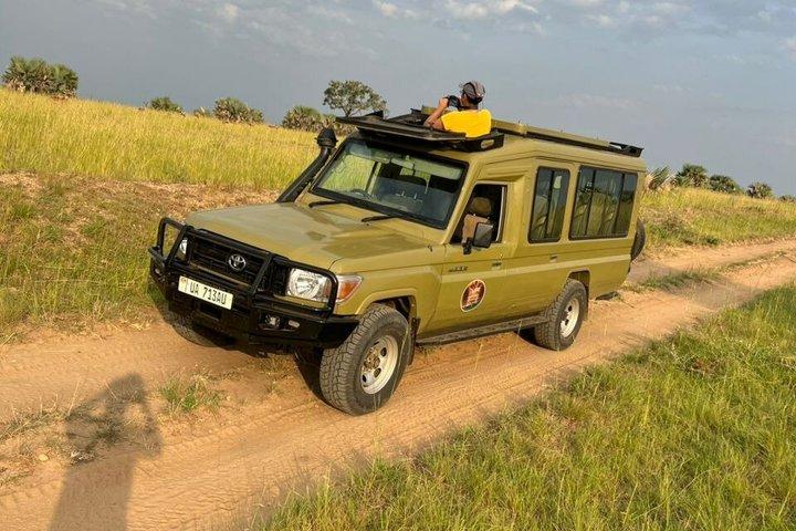 3 dagar Murchison Falls, båtkryssning och viltvisning
