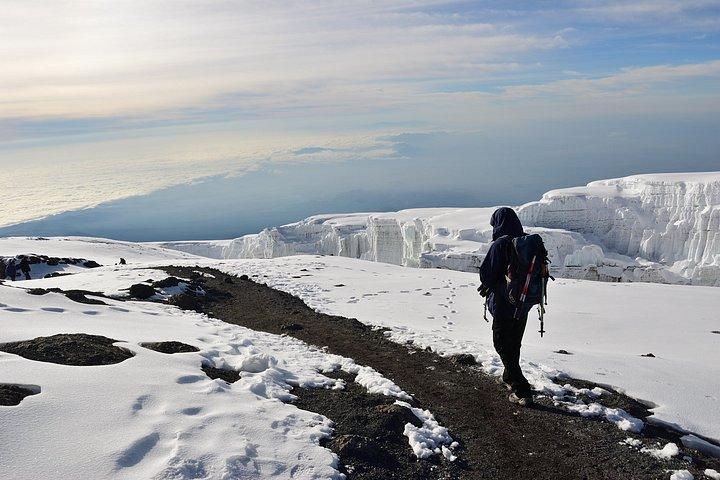 1 - マラングールート経由の日帰りキリマンジャロ登山