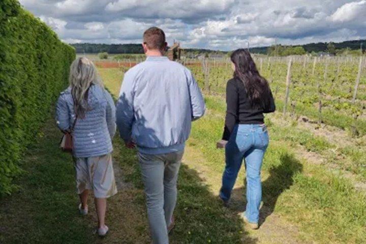 Loire Valley Vin Halvdagstur i Vouvray