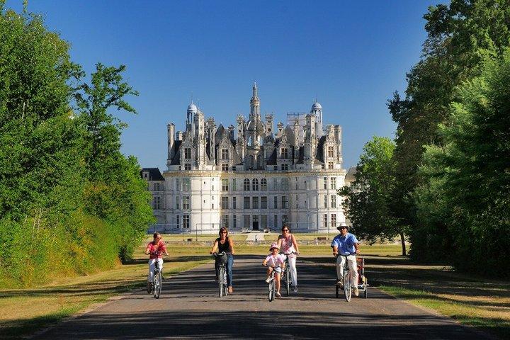 Chenonceau & Chambord Castles Privat dagstur fra Tours