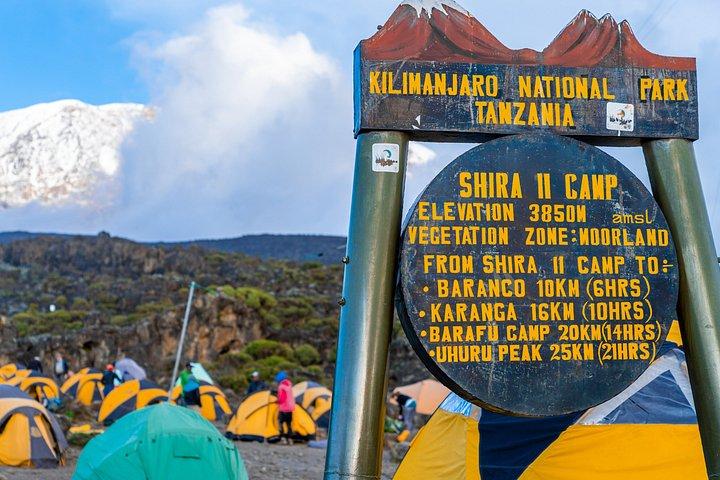1-Day Mount Kilimanjaro Climb via Lemosho Route