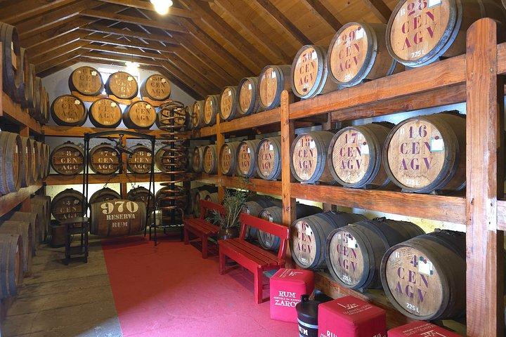 ラム酒テイスティング付きマデイラ東島ツアー