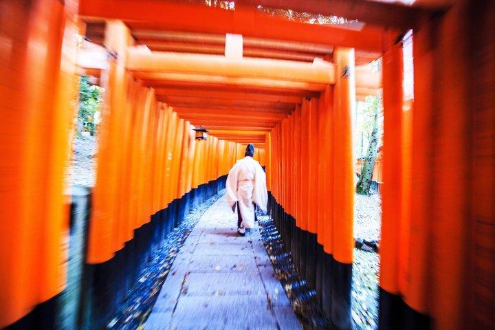 京都。 二条城、京都御所、伏見稲荷。 非公開