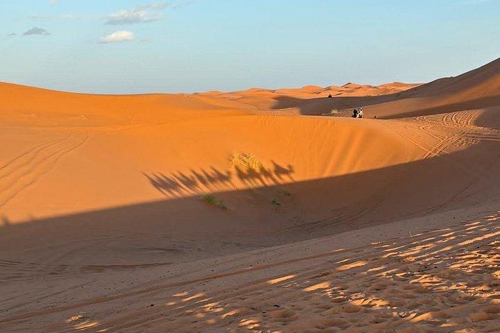マラケシュ発、サハラ砂漠を3日間で探検しよう