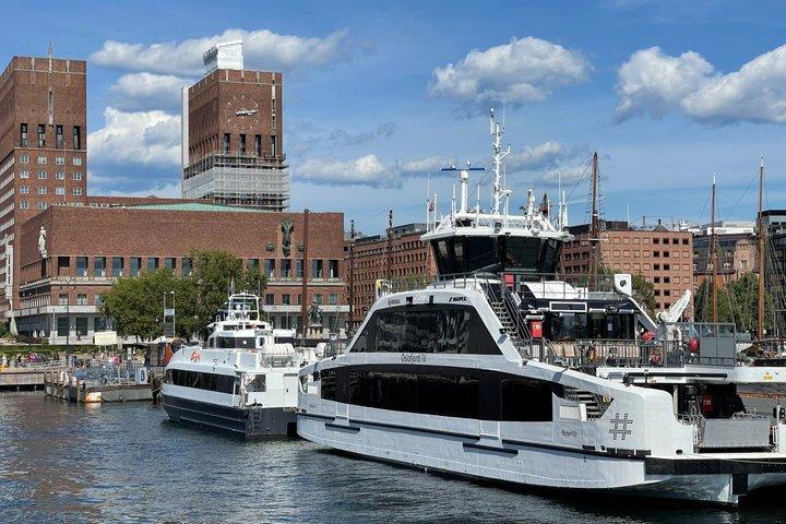3 uur eilandhoppen in Oslo