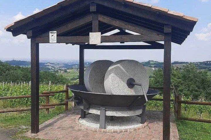 パルマワイナリーツアー、ワインテイスティング＆地元料理（送迎付き）