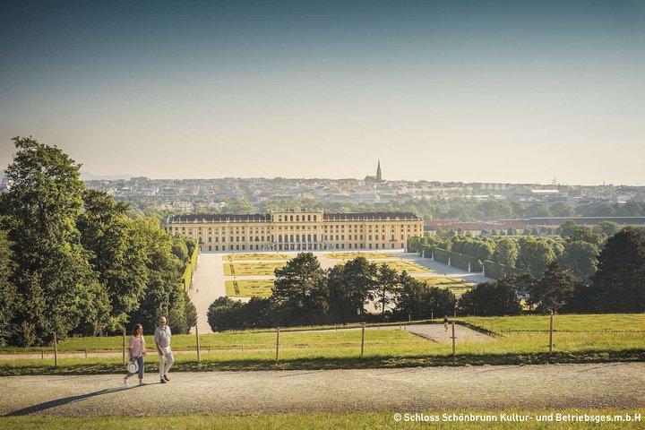 Vienna Palazzo Schönbrunn e treno panoramico