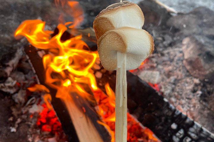 オスロの冬の焚き火とノルウェー語料理の試食
