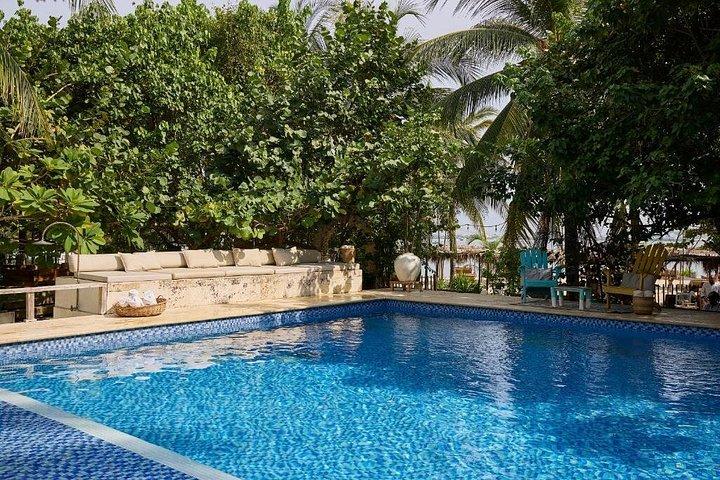 Fenix Beach Club: Island Basic Day Pass with private beach & pool