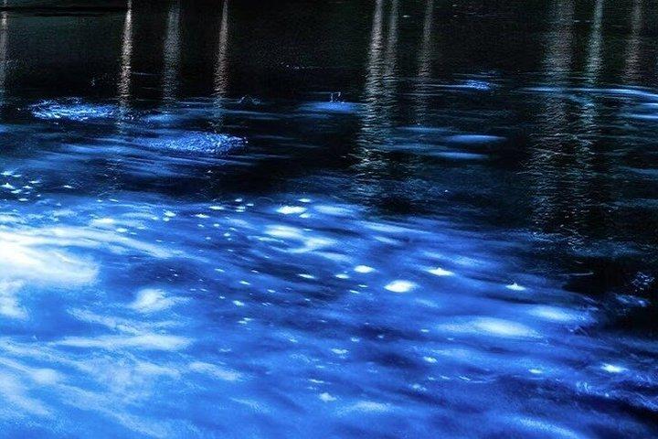 Tour in kayak bioluminescente Cocoa Beach