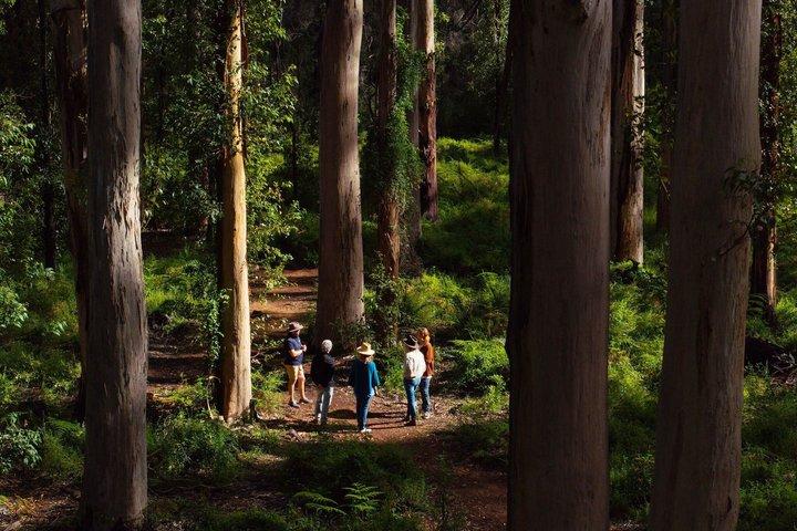 Margaret River 3-Day Escape | Small Group Tour from Perth
