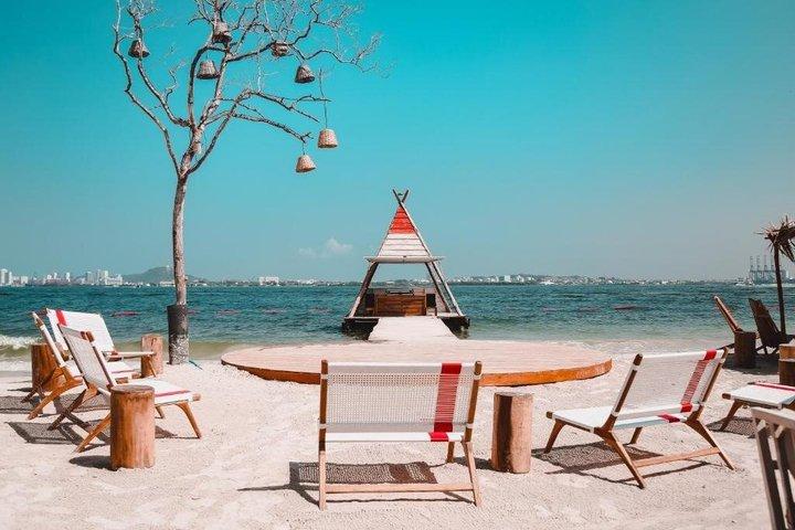 Fenix Beach Club: Island Basic Day Pass with private beach & pool