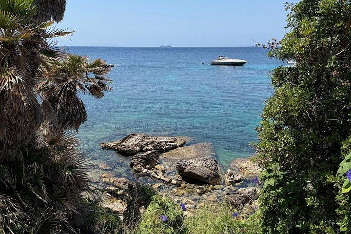 3 Hour Quad Tour on Mallorca / Passenger FREE