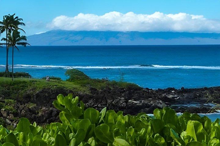 Traditionell Hawaiiansk Lei hälsning i Maui flygplats