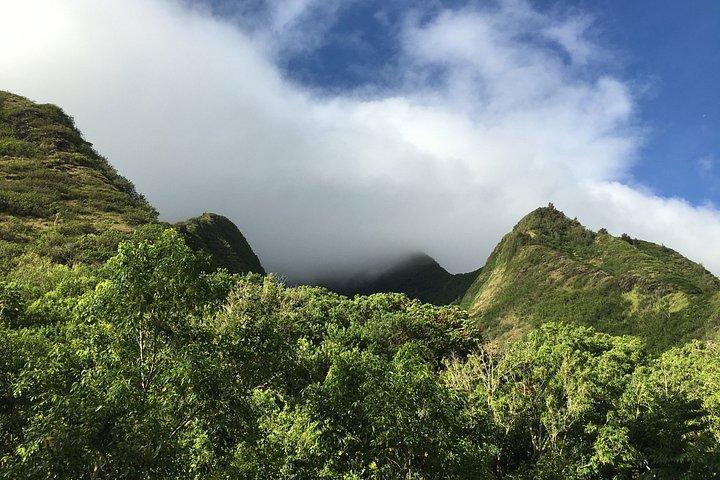 マウイ空港での伝統的なハワイのレイグリーティング