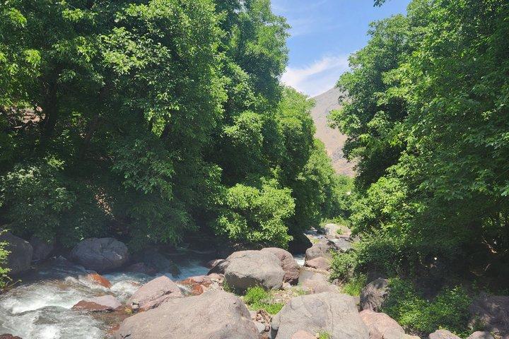Fra Marrakech: Atlas Mountains hal dag i naturen sted
