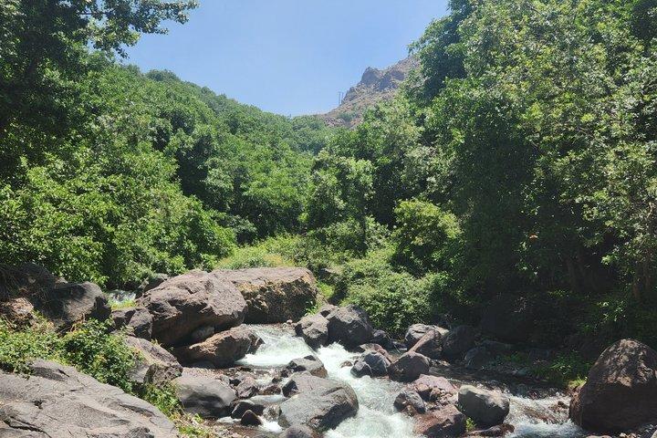 Fra Marrakech: Atlas Mountains hal dag i naturen sted