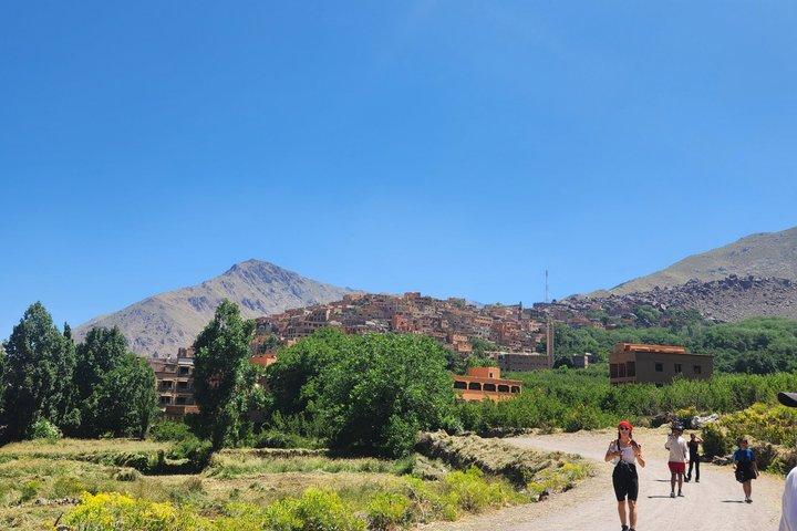Fra Marrakech: Atlas Mountains hal dag i naturen sted